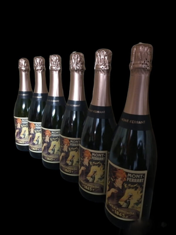 CAIXA CAVA MONT-FERRANT LA SENYORA - Imatge 3