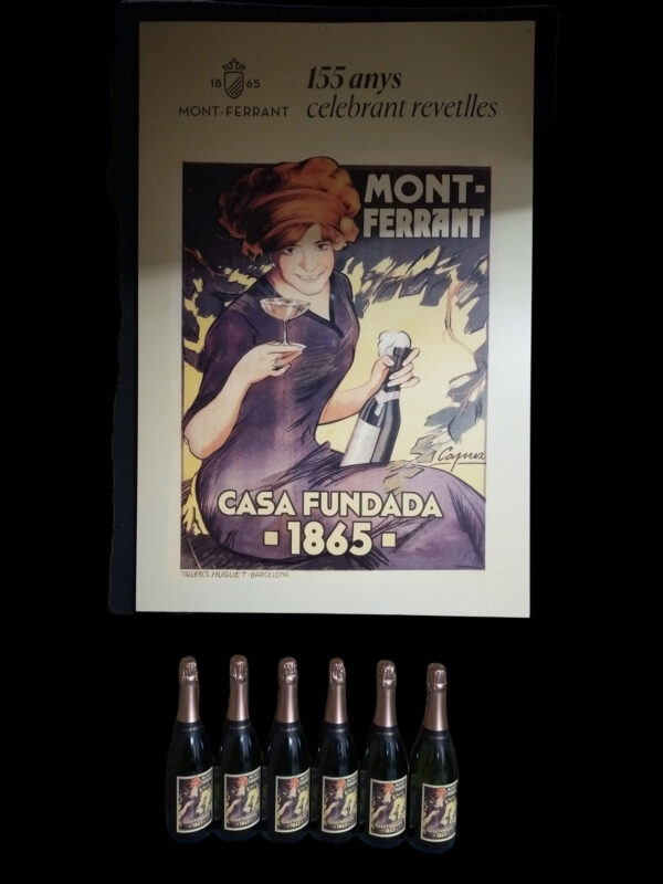 CAIXA CAVA MONT-FERRANT LA SENYORA - Imatge 2