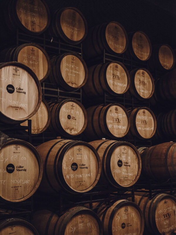 VEREMA #1  *(Pack dues persones) -  visita Celler + tast de vins + esmorzar entre vinyes - Imatge 3