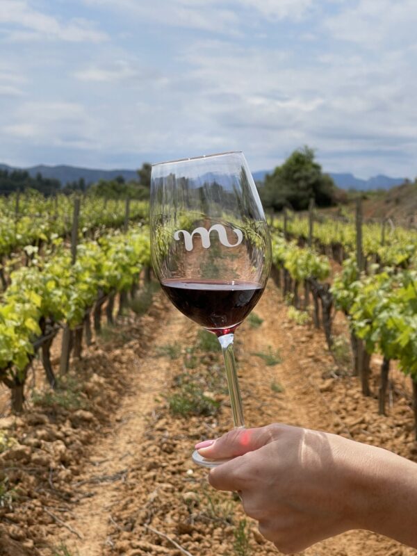 VEREMA #1  *(Pack dues persones) -  visita Celler + tast de vins + esmorzar entre vinyes - Imatge 4